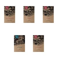 Herbes pour la cuisine italienne - kit cadeau de graines