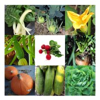 Variété de légumes (bio) -  kit cadeau de graines