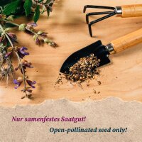 Sélection des plantes: Misticanza / Mesclun - kit cadeau de graines