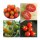 Tomates anciens - kit cadeau de graines