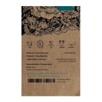 Chèvrefeuille des bois (Lonicera periclymenum) graines