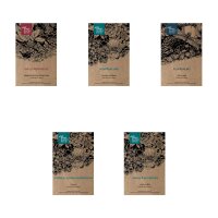Fleurs à croissance rapide - coffret cadeau de graines