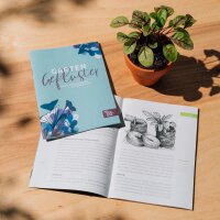 Fleurs à croissance rapide - coffret cadeau de graines