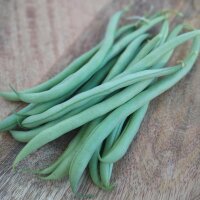 Haricot vert nain Tendergreen (Phaseolus vulgaris) graines