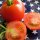 Tomate Hellfrucht (Solanum lycopersicum) semences