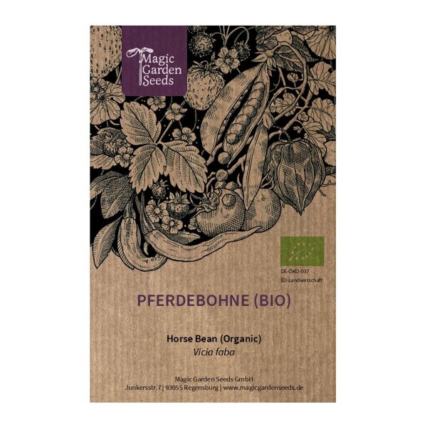 Graines De Fève De Cheval (Vicia Faba) - Sachet D'environ 50 Semences - Variété Ancienne Et Rustique - 11