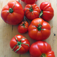 Délicieuses tomates beefsteak anciennes - kit de graines