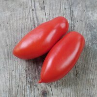 Tomate San Marzano (Solanum lycopersicum) Bio semences