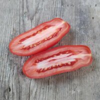 Tomate San Marzano (Solanum lycopersicum) Bio semences