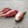 Oignon Rouge long de Florence (Allium cepa) bio semences