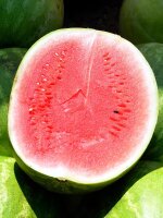 Melon pastèque Crimson Sweet (Citrullus lanatus) Bio semences