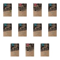 Plantes du monastère - Kit de semences