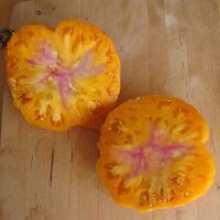 Tomate Old German (Solanum lycopersicum) graines