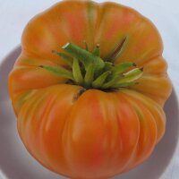 Tomate Old German (Solanum lycopersicum) graines