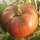 Tomate Old German (Solanum lycopersicum) graines