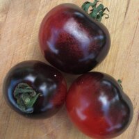 Tomate Indigo Rose (Solanum lycopersicum) graines