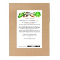Cerfeuil tubereux & Chicorée - kit de semences