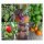 Urban gardening - kit cadeau de graines