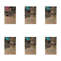 Fleurs colorées favorables aux insectes (bio) – Coffret cadeau de semences