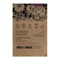 Myrtille (Vaccinium myrtillus) bio semences