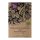 Myrtille (Vaccinium myrtillus) bio semences