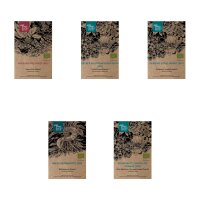 Fleurs sauvages pour le jardin des prairie - Coffret cadeaux de graines (Bio)
