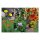 Fleurs sauvages pour le jardin des prairie - Coffret cadeaux de graines (Bio)