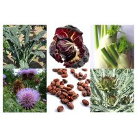 Les légumes italiens anciens (Bio) - Coffret cadeau de semences