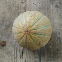 Melon cantaloup Retato Degli Ortolani (Cucumis melo) bio...