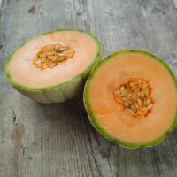 Melon cantaloup Retato Degli Ortolani (Cucumis melo) bio...