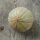 Melon cantaloup Retato Degli Ortolani (Cucumis melo) bio semences