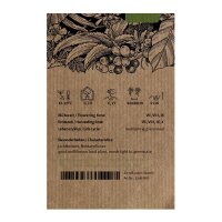 Tabac sylvestre (Nicotiana sylvestris) bio semences