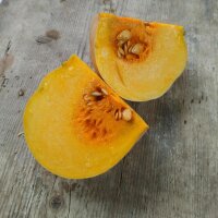 Courge musquée de Provence (Cucurbita moschata)...