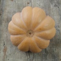 Courge musquée de Provence (Cucurbita moschata) Bio semences