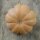 Courge musquée de Provence (Cucurbita moschata) Bio semences
