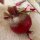 Betterave Tonda di Chioggia (Beta vulgaris) bio semences
