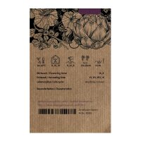 Shiso rouge (Perilla frutescens var. purpurascens) graines