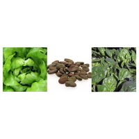 Légumes primeurs (Bio) – Kit de semences