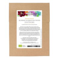 Beautés florales à cultiver à lombre (bio) – Kit de semences