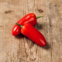 Piment Jalapeño (Capsicum anuum) bio semences