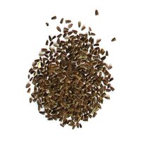 Agripaume (Leonurus cardiaca) bio graines