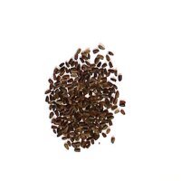 L´Agripaume de Sibérie /  Marijuanilla (Leonurus sibiricus)  graines bio