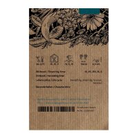 L´Agripaume de Sibérie /  Marijuanilla (Leonurus sibiricus)  graines bio