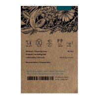 Tabac indien (Lobelia inflata) bio semences