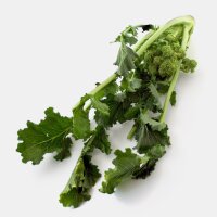 Pousses de navet / Cima di Rapa (Brassica rapa...