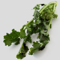Pousses de navet / Cima di Rapa (Brassica rapa sylvestris) bio semences