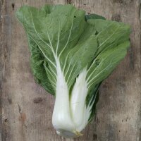 Chou de chine / Bok Choy / pak choi Tai Sai (Brassica...