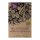 Laitue pommée Meraviglia delle quattro stagioni (Lactuca sativa) bio semences