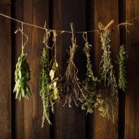 Moments magiques - Calendrier de lavent des semences bio - Le monde merveilleux des plantes aromatiques