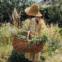 Moments magiques - Calendrier de lavent des semences bio - Le monde merveilleux des plantes aromatiques